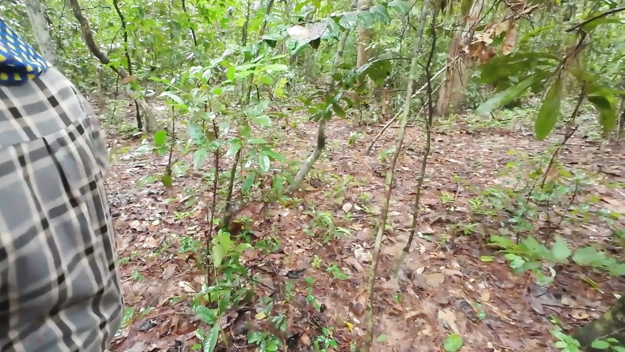 Thai Teenager Walks around Picking Mushrooms and Gets Fucked in the Pussy. Thai Audio