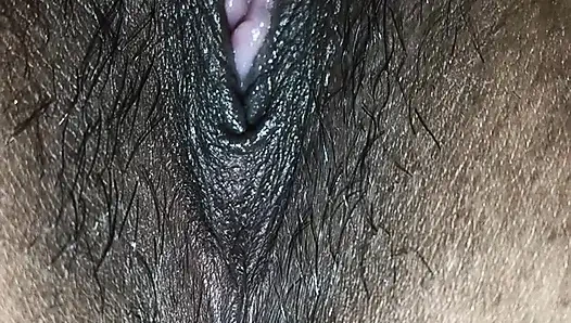 Bengalische Krawattenlecken