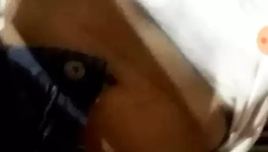 Gato gozando