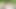 Viki açık havayı sever