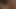 WILD LIFE, TASTY SWEET INTENSE PLEASURE, HOT HARD SEX, INTENSE PLEASURE, HARD SEX