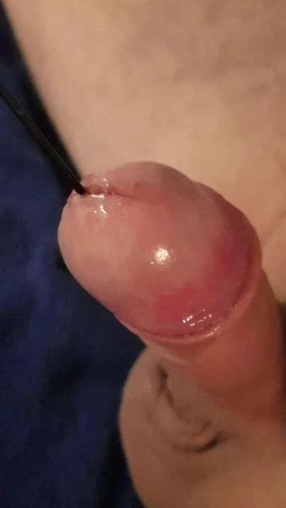 introduction