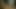Broadway veletinde Shanna mccullough