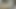 big dick T girl masturbating and cumming
