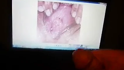 panizzi