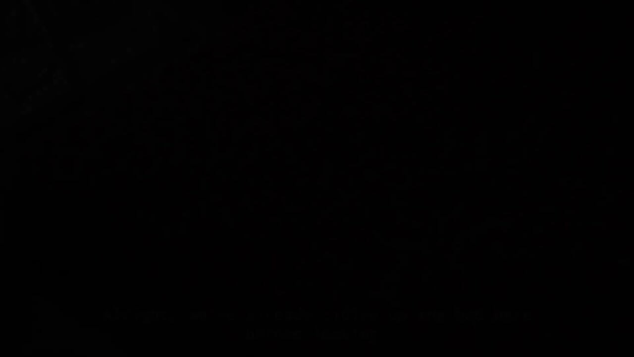 视频博客色情, 第二集!