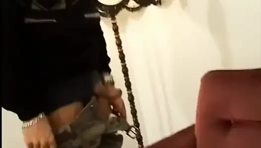Ein großer schwanz für stella morandy