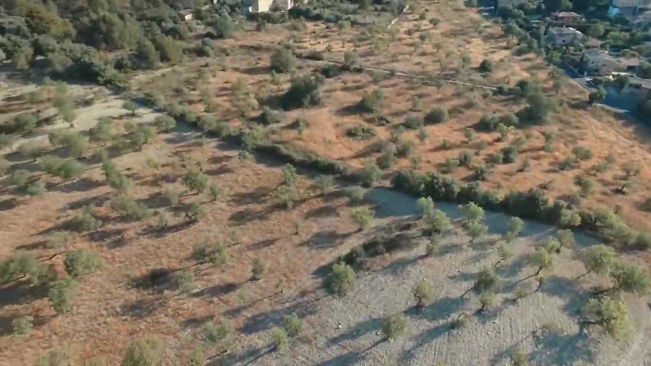 Echte deutsche Schlampen – Episode 4