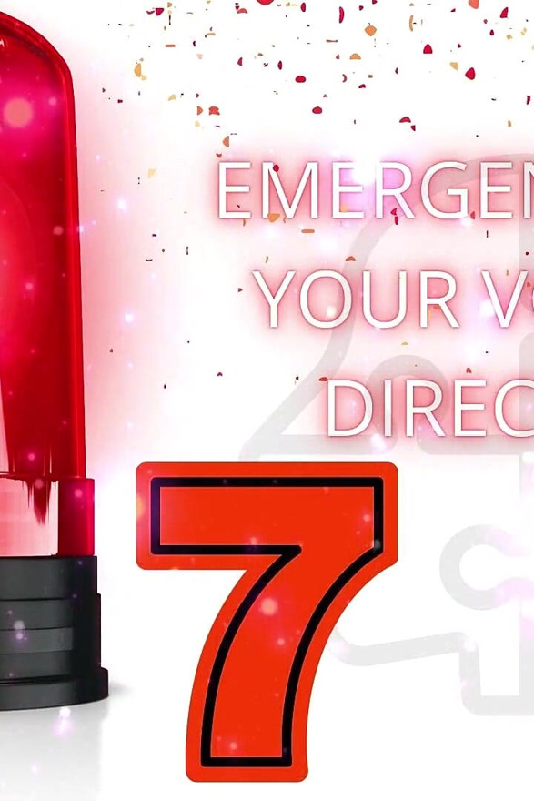 Emergency Help: Your Voice, My Direction 7