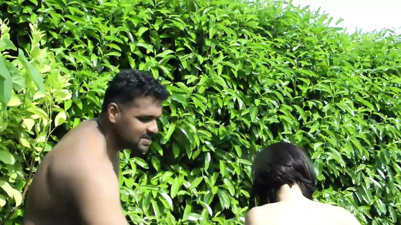 Pretty Trans Fucks by the Pool