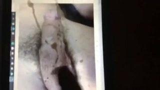 Запрос трибьюта спермы на большой хуй в любительском видео