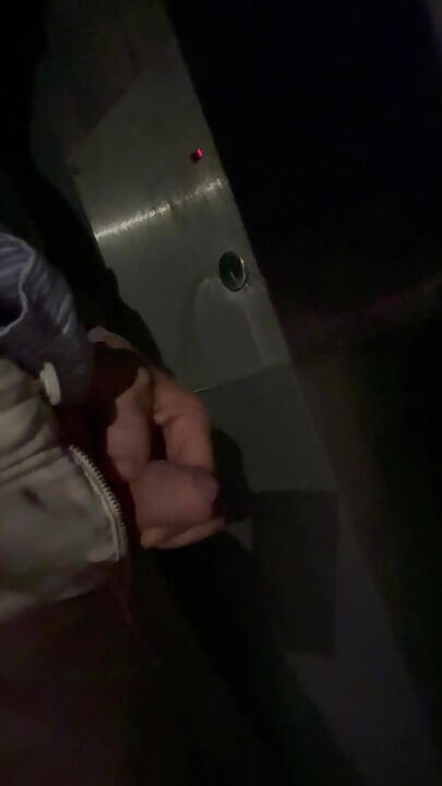 휴게소에서 놀라운 만남, 내 꼬리가 포경되지 않은 채로