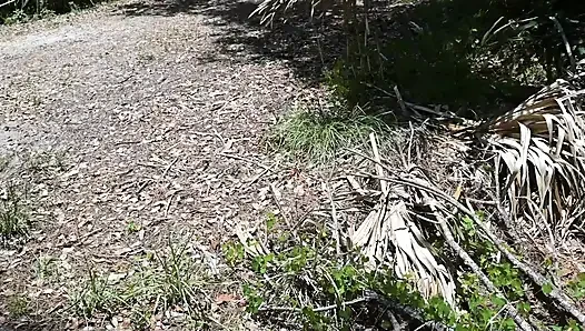 Ganzer tag-video