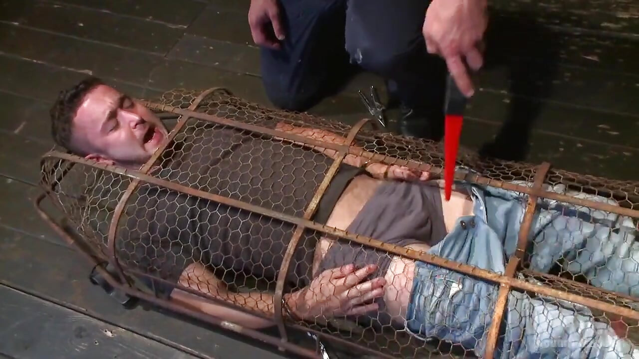 Powerless and Caged Like an Animal