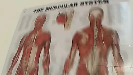 Doktorla üçlü seks