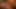 Video nr. 33