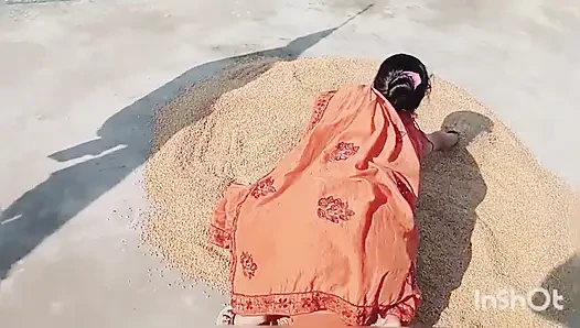 Desi Village Fucking Sex Video