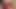 Exotic Thai Beauty T.T. Spanks Her Trann - BEAUTIFUL SHEMALE