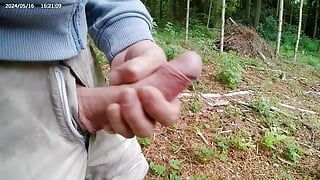 Masturbarsi nella foresta