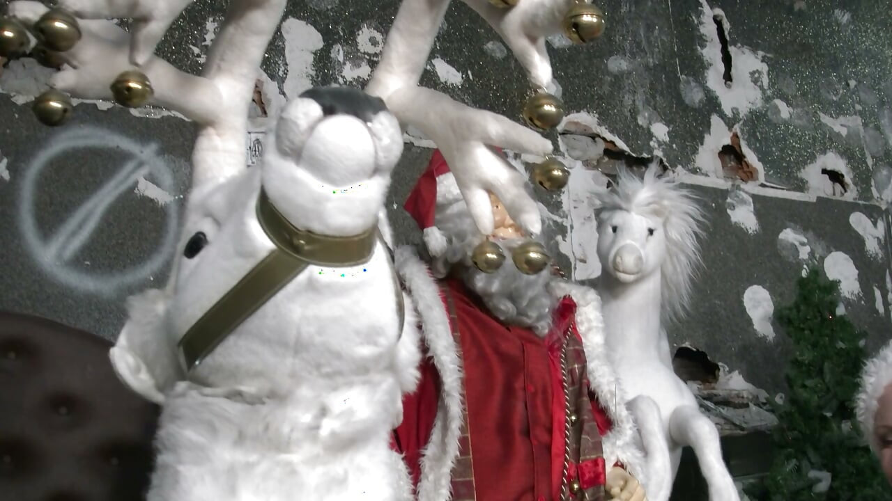 Christmas Special, Hairy Pussy 5408 1
