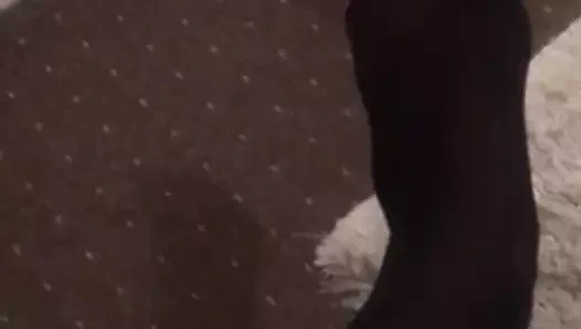 çorap kız arkadaşı