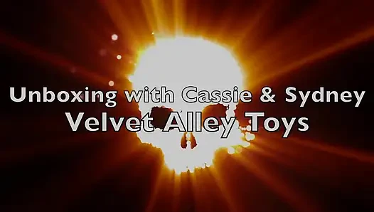 Velvet Alley Dildo Review with Usage