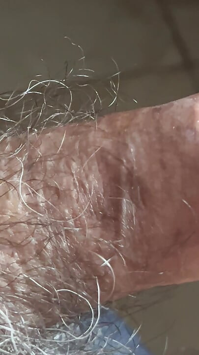 Closeup of Penis with One Vein