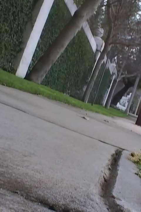 La Morena Desordenada Chupa Mucha Polla Y Se Deja Eyacular Hasta El Fondo