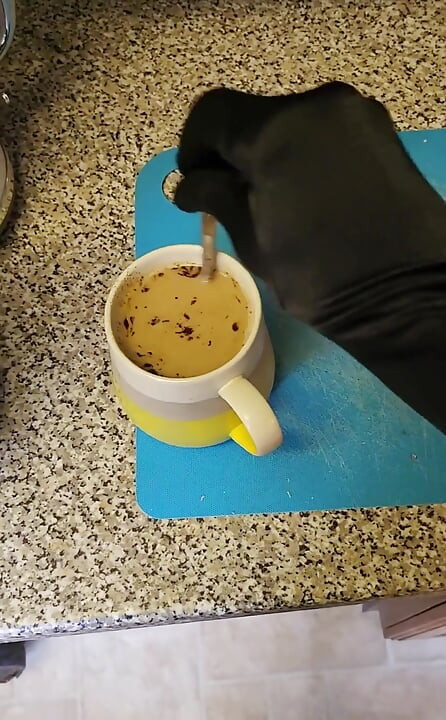 ホットランジェリーで朝の一杯を作る