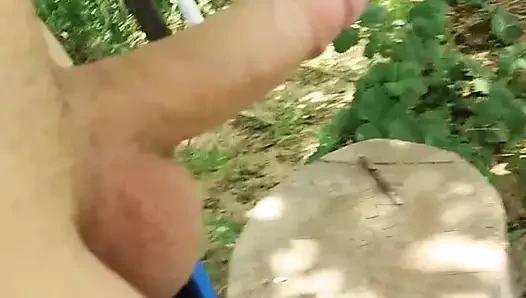 Laba