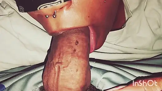 Langsamer schwanzverehrung in nahaufnahme