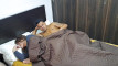 Pregled videozapisa