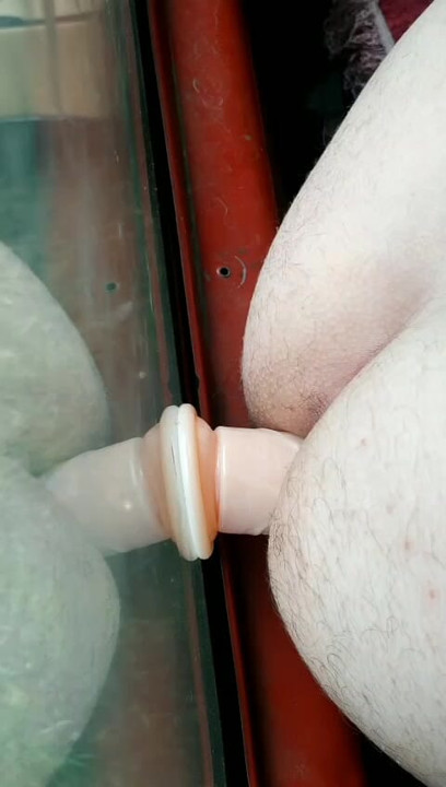 Having fun in Iashina