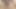 Porno