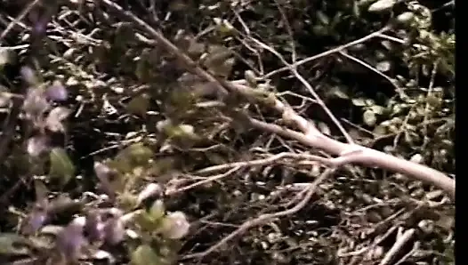 Dildolu dört siyah harika hatun ormanda genç yogi ile sikişiyor