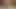 Man destroyed ass girl with bbc sex toy