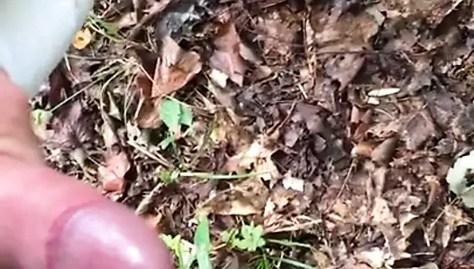 arka bahçe sürümü