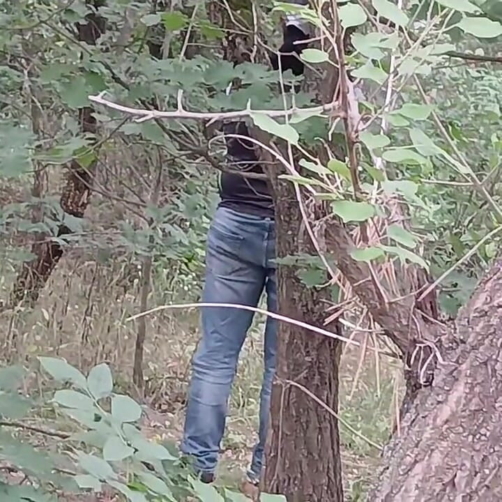 Our Third Girlfriend Keeps Watch in the Park so No One Catches Us Having Sex