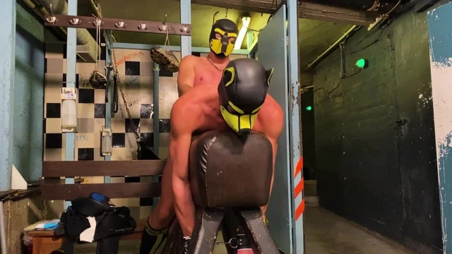 Two horny Puppies fucking at the basement
