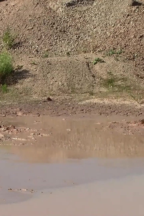 A Great Mud Adventure