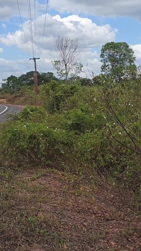 Nothing better, talking, feeling the breeze, making friends | Clip 1