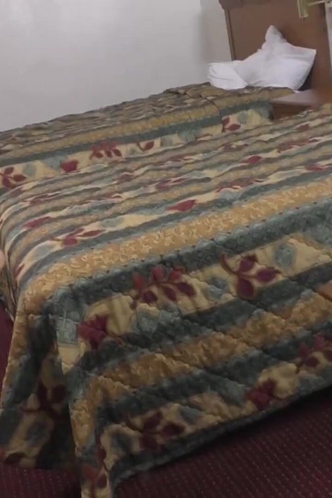 Bataklık faresi