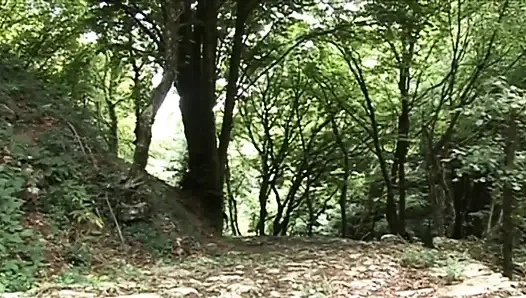 Шаловливую тинку трахает зрелый экскурсовод в лесу