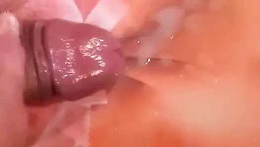 jillianx no2 için saygı duruşu!