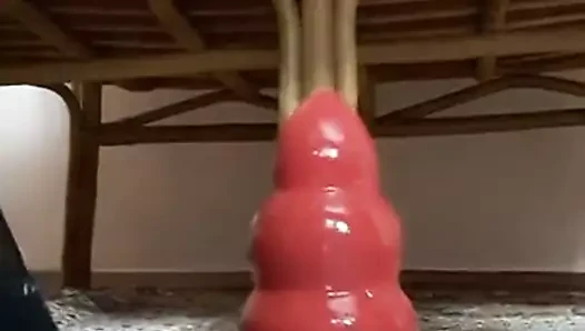 Mari anal göt piramidi