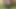 recently teenager a slut gets fucked in the pussy by a