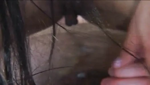 Si cantik eksotis dengan stoking menunggangi pejantan kontol keras setelah mengisapnya