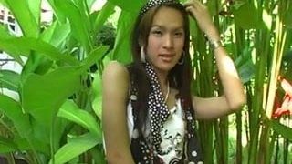 Ladyboy Mena