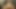Cock sucking teen slut in porno