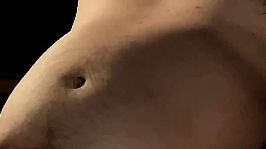 大きなお腹の動き - 胃の中の何か